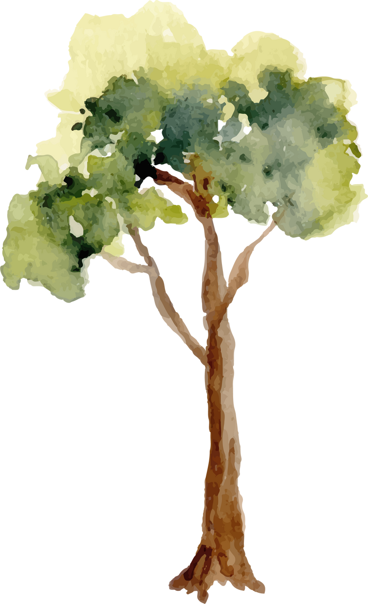 watercolor tree