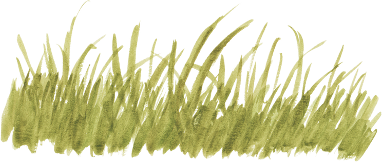 Watercolor Grass Illustration